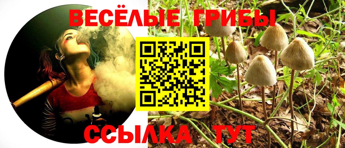 Тула  цена наркотик  Вход с VPN  Галлюциногенные грибы мухоморы  Псилоцибиновые грибы Psilocybe 