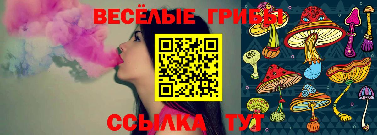 Галлюциногенные грибы GOLDEN TEACHER Тула